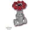 Gate Valve