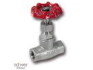 Globe Valve
