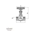 Globe Valve
