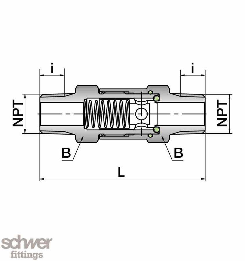 Check Valve (NPT)