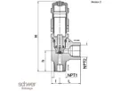 Proportional Relief Valve (NPT)